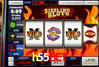 Descubra o Mundo do Cassino Online com h55bet